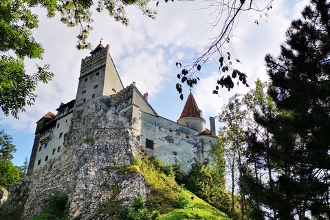 De Bucareste: viagem de um dia ao Castelo do DráculaViagem privada de um dia