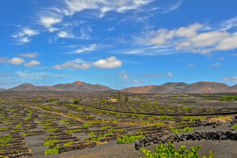Lanzarote: vulkanen van Timanfaya en grotten-tour met lunch