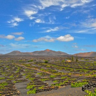 Lanzarote : volcans deTimanfaya, grottes et déjeuner