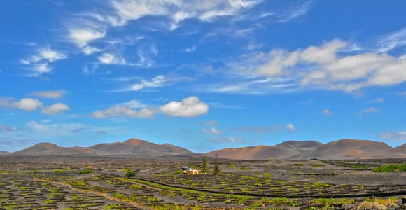 Lanzarote: Volcanos of Timanfaya and Caves Tour with Lunch