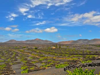 Lanzarote: Volcanos of Timanfaya and Caves Tour with Lunch