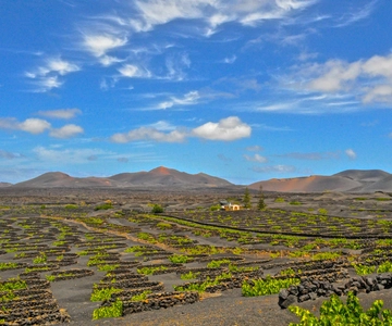 Lanzarote: Vulkanen van Timanfaya en Grotten Tour met Lunch