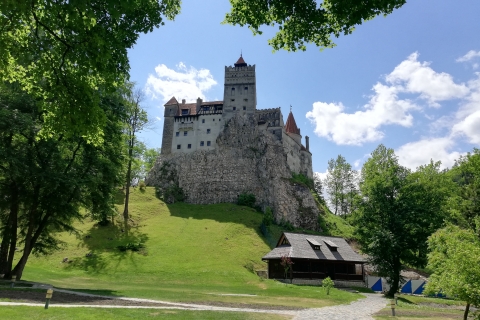 Dracula: 1-Day Private Castle Tour