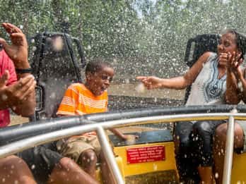 Busch Gardens Tampa Bay: Park-Ticket Busch Gardens Tampa Bay: Park-Ticket