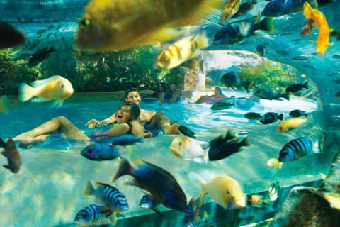 Orlando: Aquatica Water Park Admission Ticket 3-Park Ticket and 3 All-Day Dining Deals