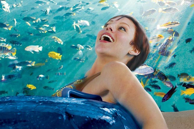 Orlando: Aquatica Water Park Admission Ticket 3-Park Ticket and 3 All-Day Dining Deals