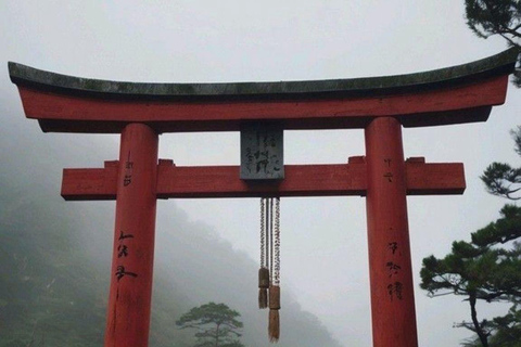 Nikko Private Day Tour From Tokyo Toshogu Shrine Kegon Fall In Luxury Mini Van Nikko Day Trip