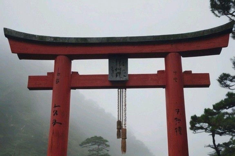 Nikko Private Day Tour From Tokyo Toshogu Shrine Kegon Fall In Luxury Mini Van Nikko Day Trip