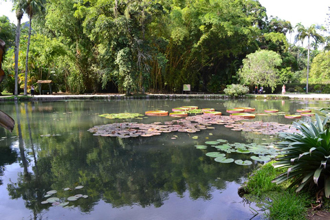 Tropical Wonders: Discover Rio's Jardim Botânico & Tijuca