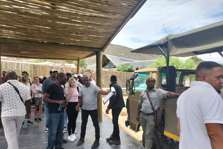 Kaapstad Big 5 Safari-dagtour met ophaalservice vanaf je hotel en GameDriveBeleef een spannende Big-5 safari in Kaapstad