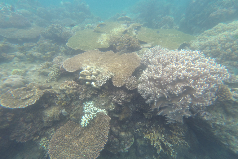 Bali: Labuan Amuk Snorkeling with Lunchbox