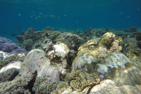 Bali: Labuan Amuk Snorkeling with Lunchbox