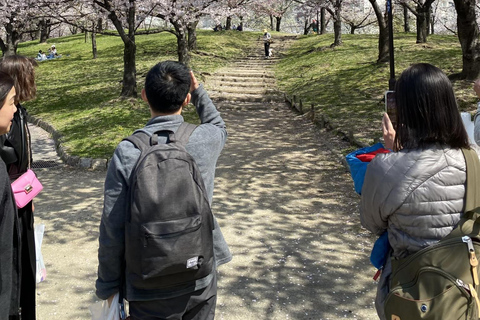 Osaka: Springtime Sakura Picnic "Hanami"