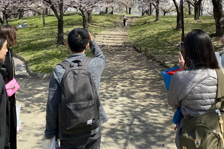 Osaka: Springtime Sakura Picnic "Hanami"