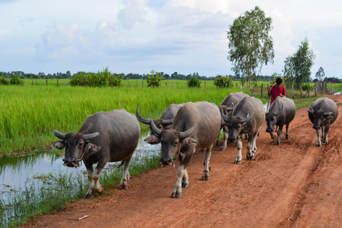Siem Reap: Killing Fields & Floating Village Sunset Cruise Option 2: Guided Cultural Experience