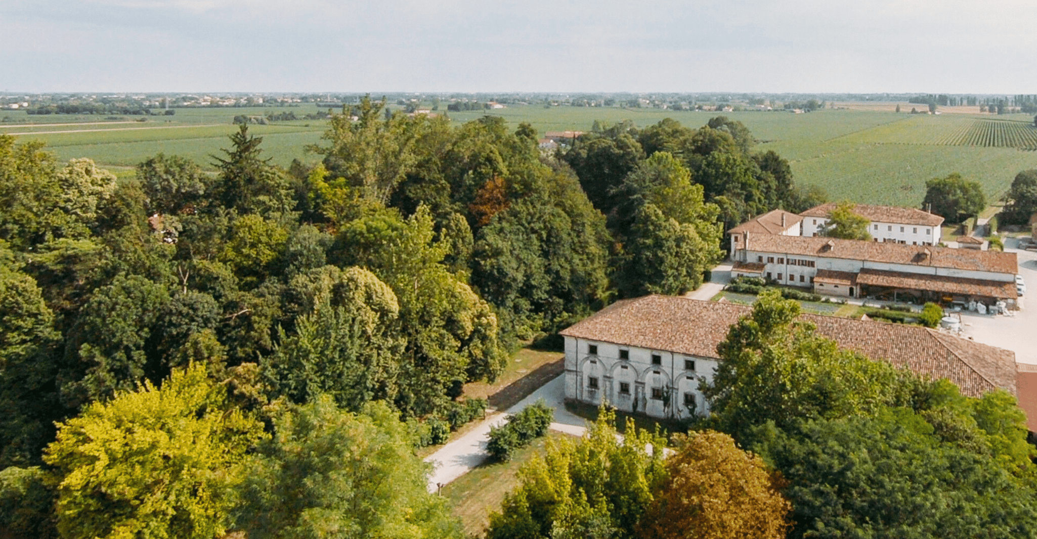 Tour e degustazione Tenuta Rechsteiner: alla scoperta dei vini di Venezia