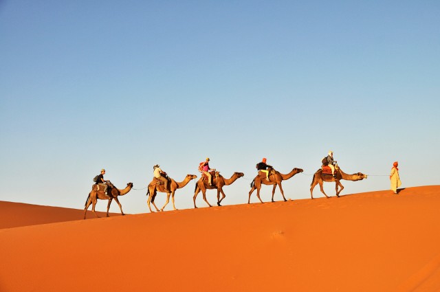 Visit Tunisia 3-Day Sahara Desert Camel Trek from Douz in Douz
