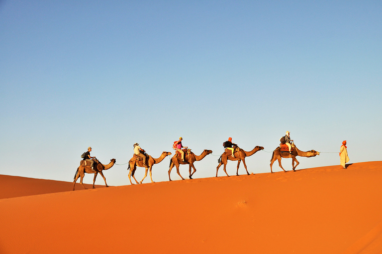 Túnez: caminata en camello por el desierto del Sahara por 3 días desde Douz