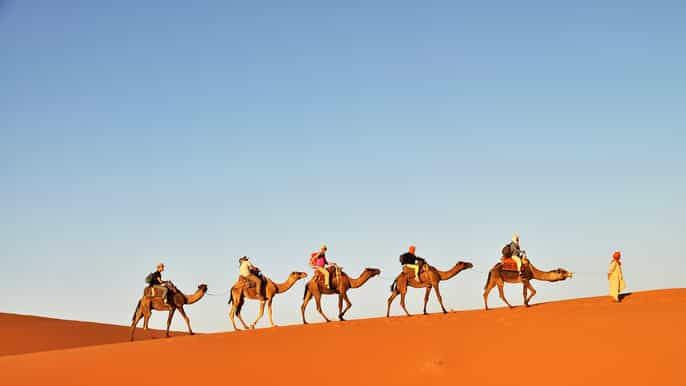 tunisia 3day sahara desert camel trek from douz