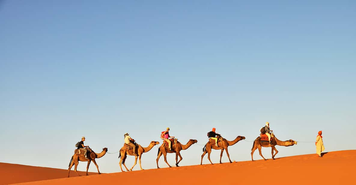 Tunisia: 3-Day Sahara Desert Camel Trek from Douz | GetYourGuide