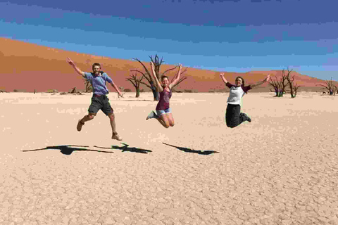 Swakopmund: Namib Desert Coast Adventure Tour