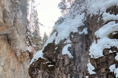 Lake Louise, Johnston Canyon Bow Falls Surprise Corner Tour