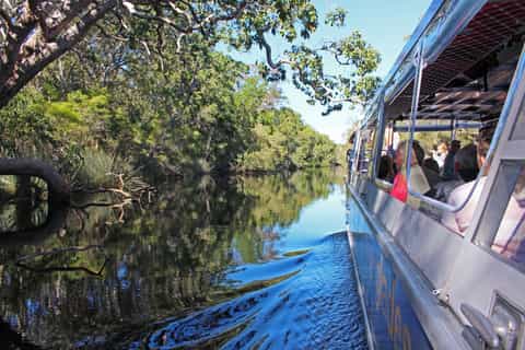 Noosa: Everglades Canoe Adventure with Lunch