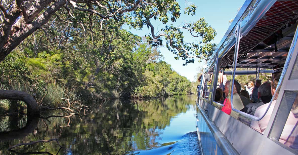 Noosa: Everglades Canoe Adventure with Lunch