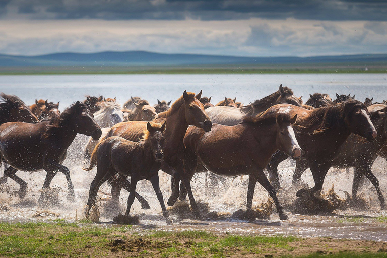 Ułan Bator: 3-dniowa wycieczka Best of Central Mongolia w małej grupie