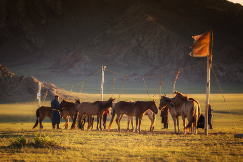 Oulan-Bator : excursion d'une journée dans le semi-désert de Gobi et balade à dos de chameau ou à cheval