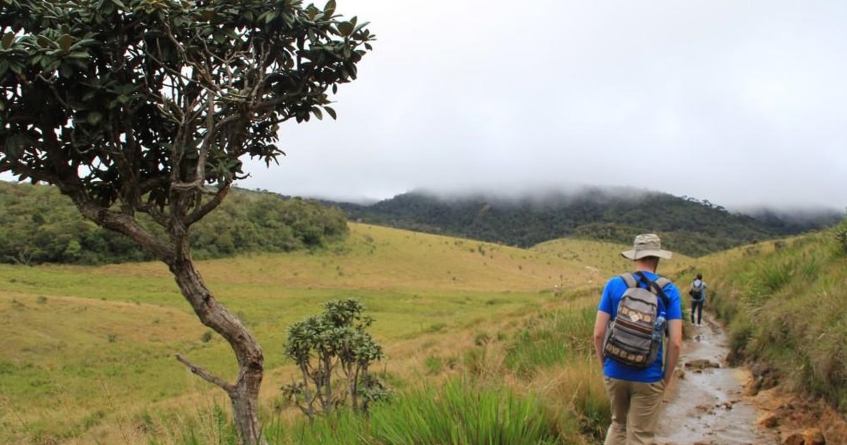 Nuawara Eliya: Horton Plains Und Teefabrik Private Tour 