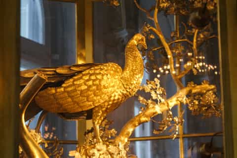 St Petersburg: Hermitage Skip-the-Line Admission with a Host