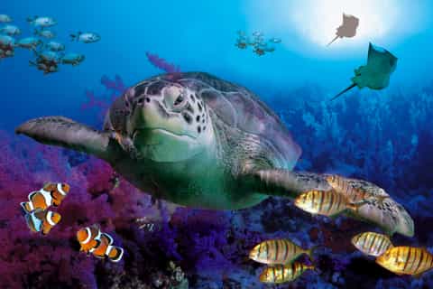 benalmadena aquarium visit