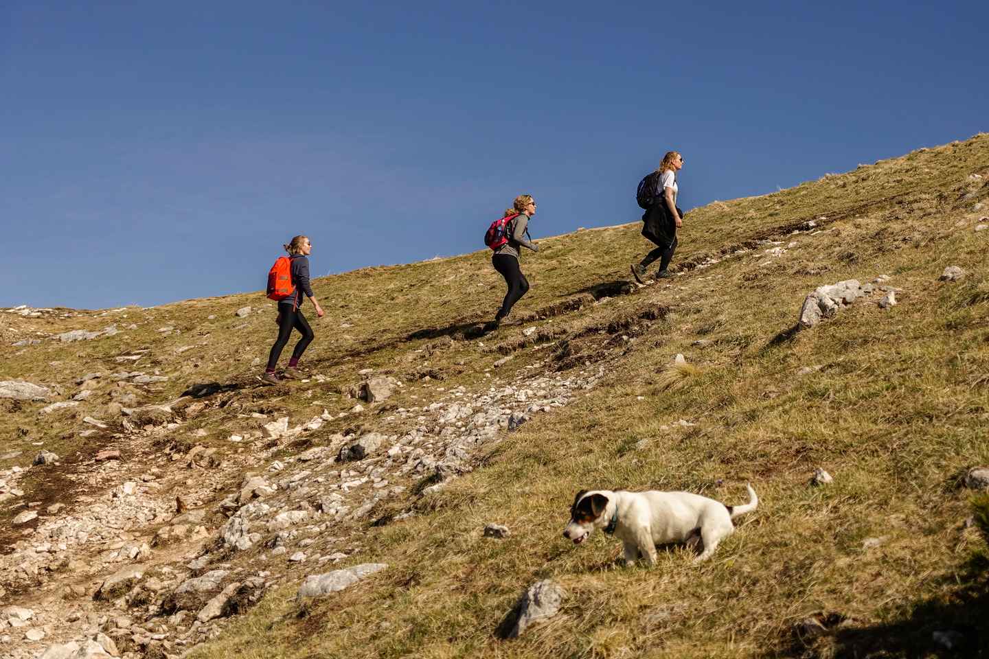 Escursione Panoramica nelle Alpi Giulie