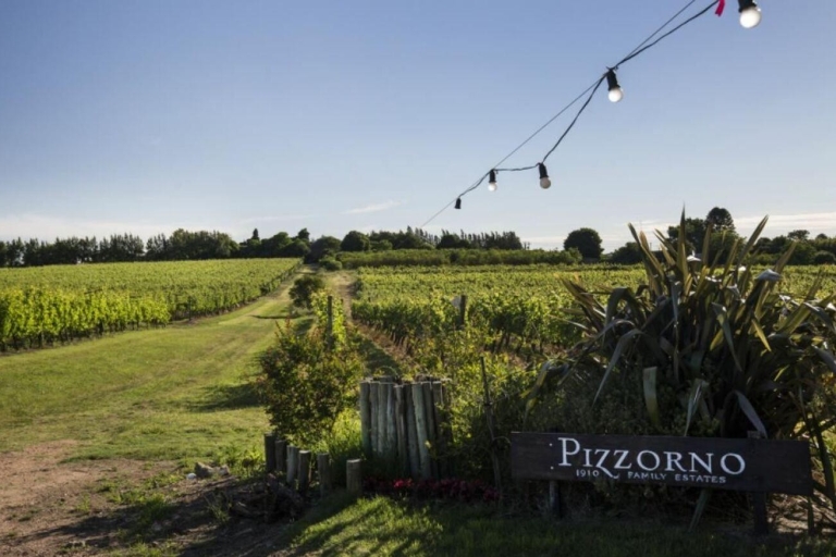 Uruguayan Wine Tasting Experience at Pizzorno Wineries