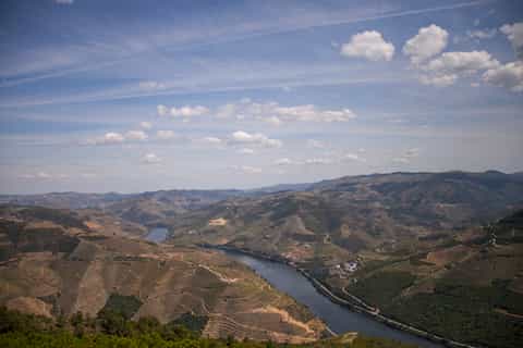 Casal de Loivos: River Douro and Pinhão with Vineyard Visit