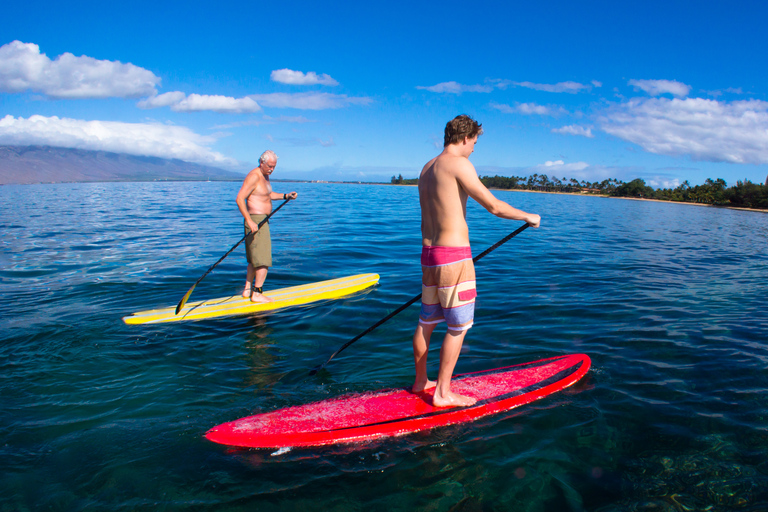 Maui: Makena Bay Stand-Up Paddle TourMakena Bay: Grupo pequeño de paletas y snorkel con guía