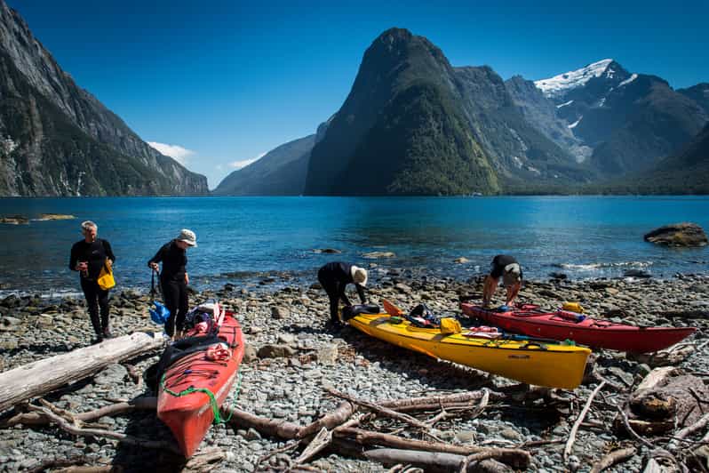 Kayak Milford Sound GetYourGuide