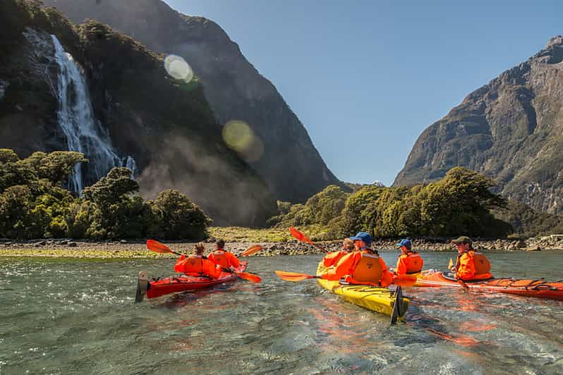 Kayak Milford Sound | GetYourGuide