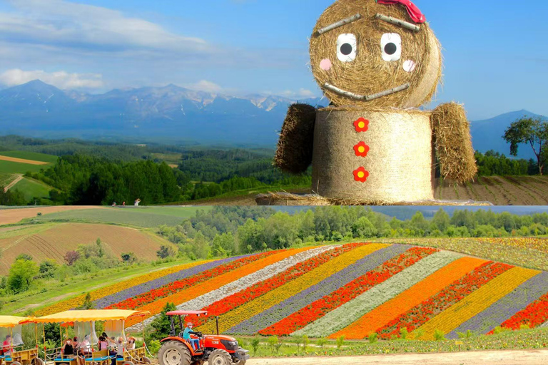 Furano & Biei Lavender & Wheat Fields Tour from Sapporo Sapporo TV Tower Departure (Without Lunch)