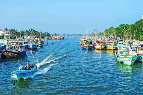 Negombo:Dutch Canal, Lagoon, Muthurajawela Privévaart