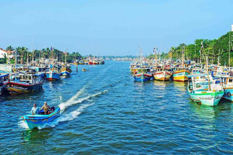 Negombo: Dutch Canal, Negombo Lagoon, Muthrajawela Boat Tour