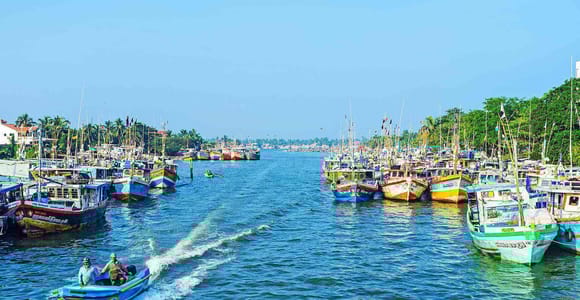 Negombo:Dutch Canal, Lagoon, Muthurajawela Private Bootstour