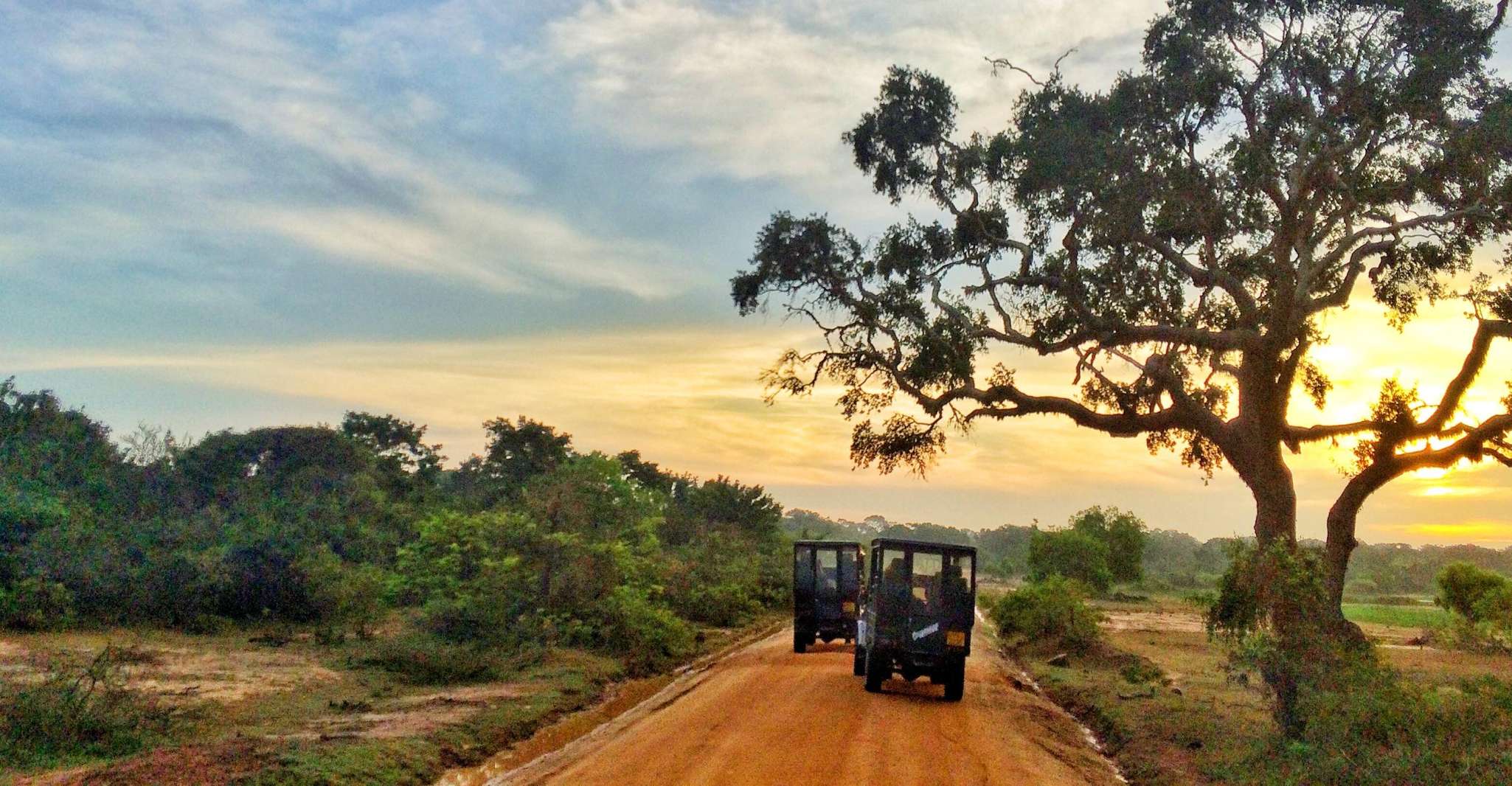 Yala National Park, Morning or Afternoon Golden Hour Safari - Housity