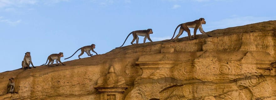 Exclusif : Visite guidée de la forteresse de Sigiriya et de Polonnaruwa