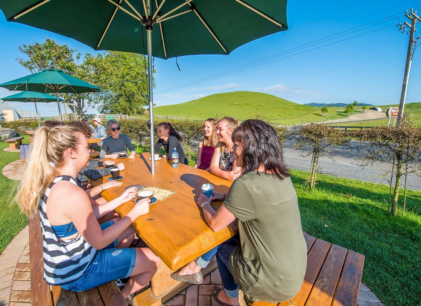 Matamata: Billet til guidet tur på Hobbiton-filmsættet