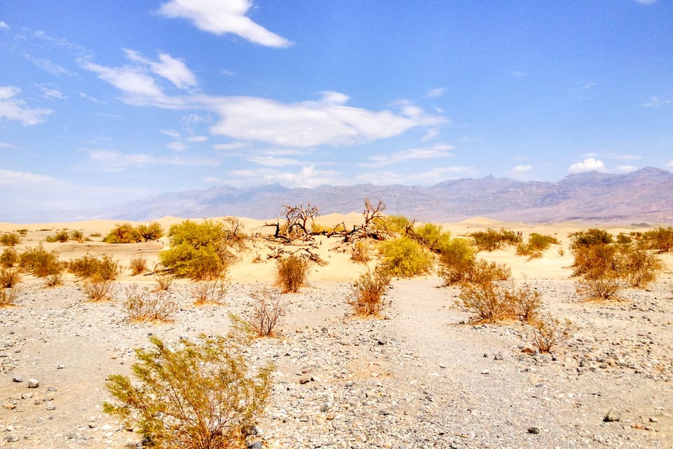 Wild West Ghost Town and Hoover tour from Las Vegas - Bindlestiff Tours