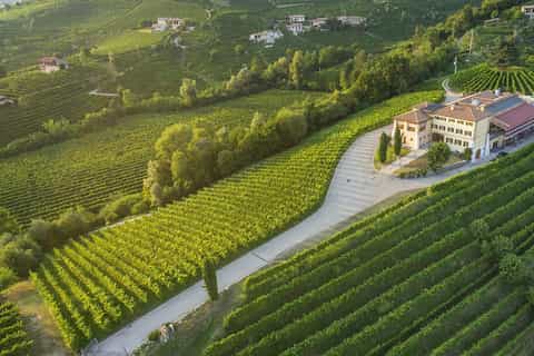 From Venice: Verona, Amarone, and Franciacorta Tour