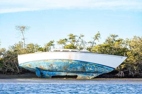 Sea Kayak Tour - Mangrove Safari