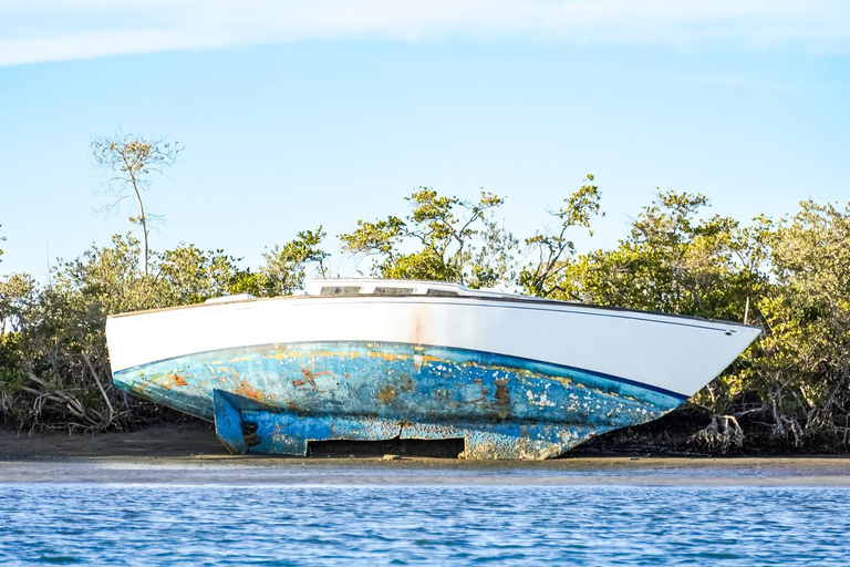 Sea Kayak Tour - Mangrove Safari